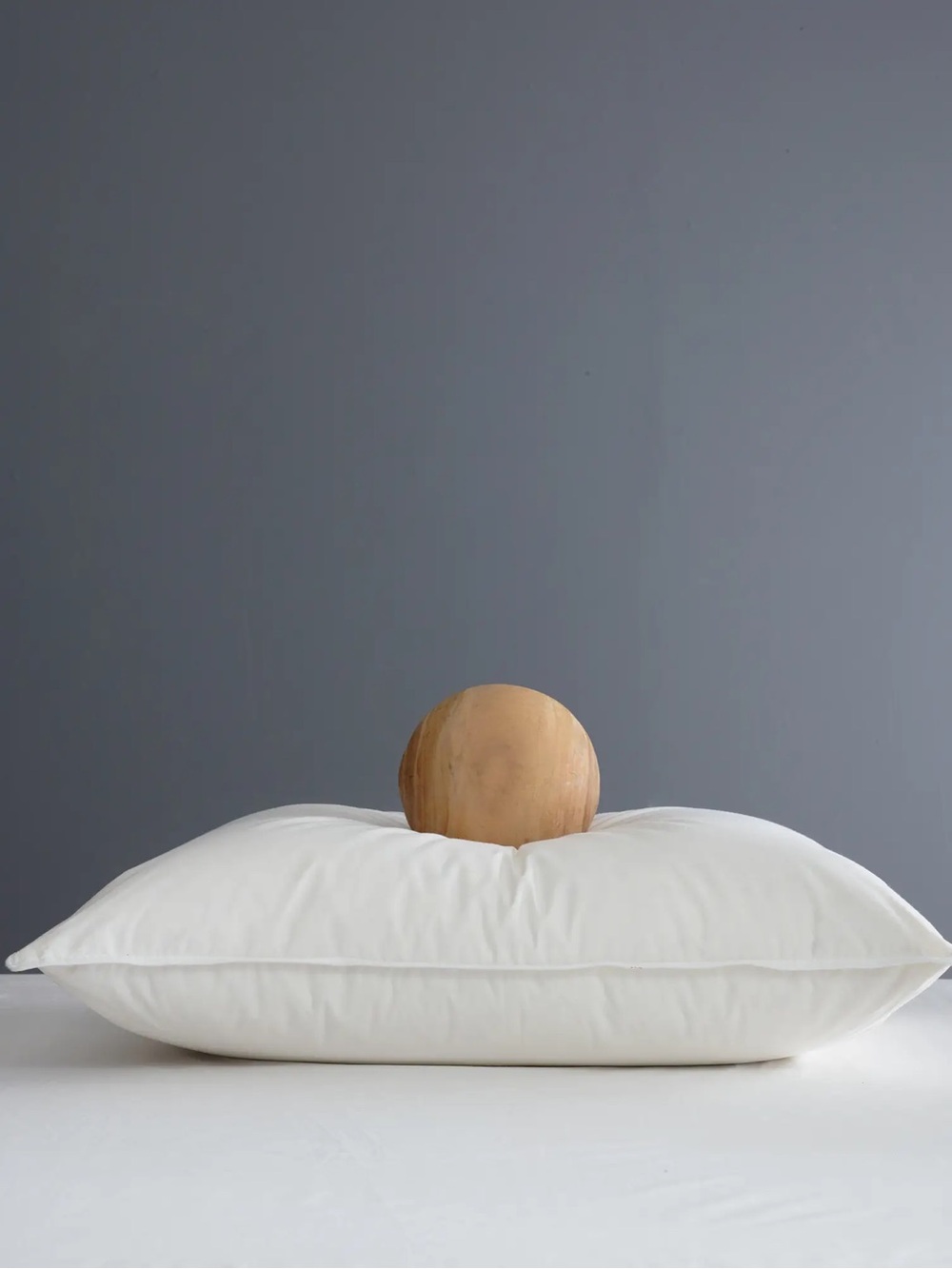 NWT Quince Standard size Luxe Goose Down Pillow Medium / Firm $144 European